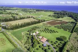 Remote Property/Land Clearing
